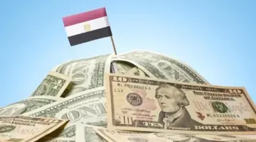 خفض ديون الإمارات.. مصر تسدد 1.3 مليار دولار وتغير خريطة الالتزامات المالية